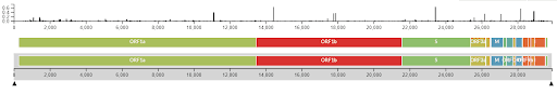 Diversity of covid-19