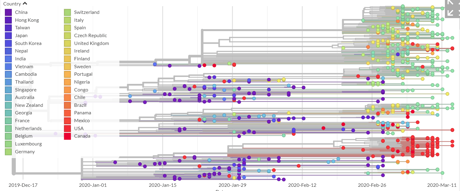 SARS-CoV-2 685 genomes - covid-19 coronavirus