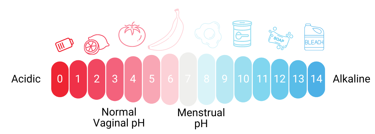 pH Scale Details (1200 × 429 px) (1)