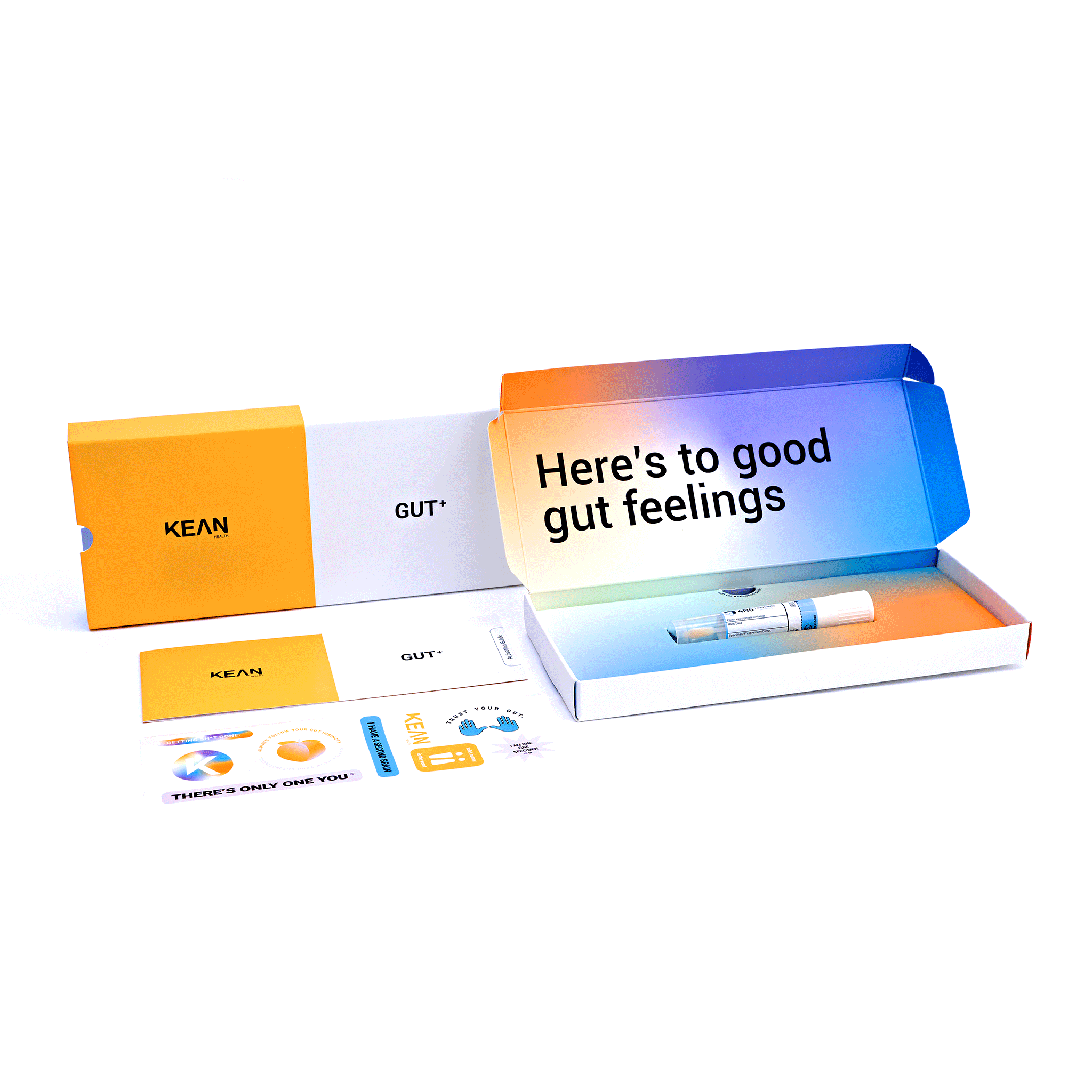 Gut Health Testing Kit