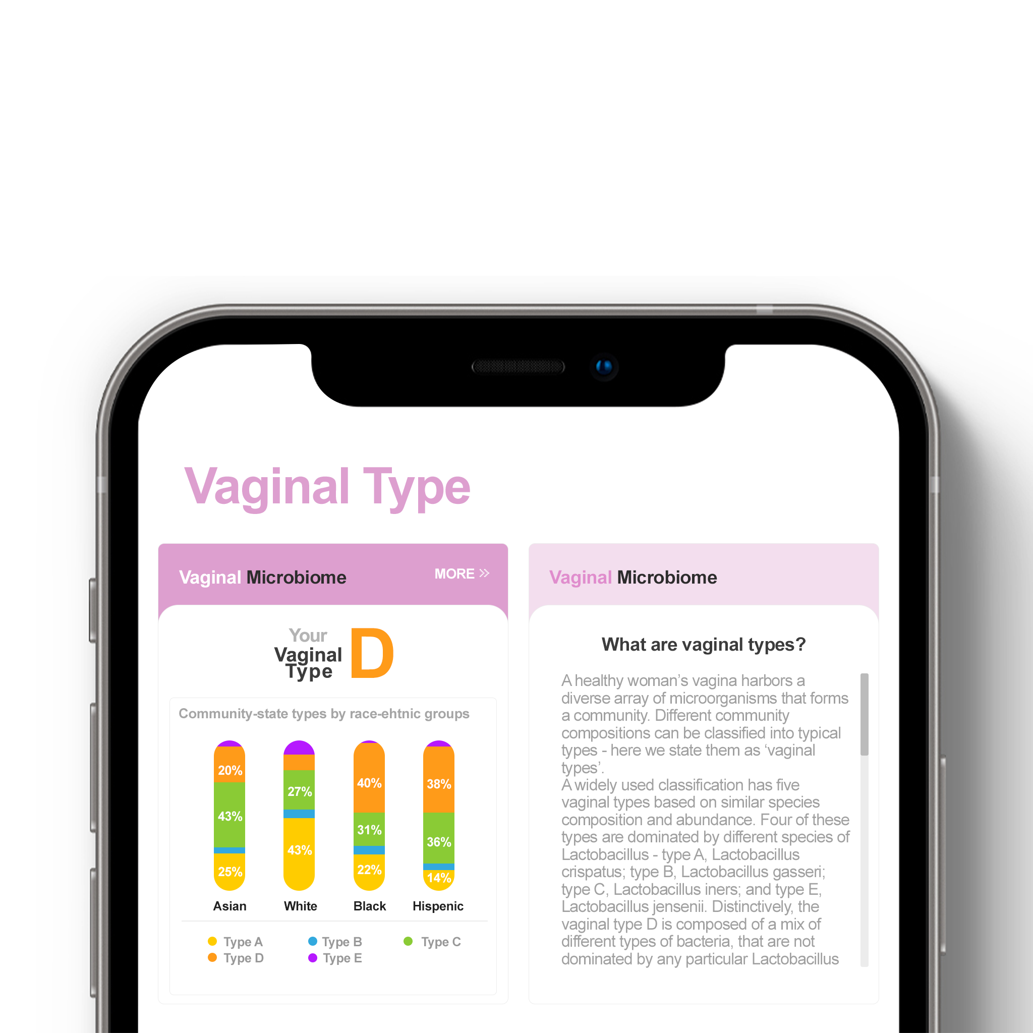 v report sample